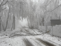 VIDEO: Praskajú konáre, padajú elektrické vedenia. Na západe Slovenska udrela zima