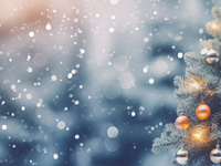 Zima a sneženie na Slovensku: Šanca bielych Vianoc na Štedrý deň klesá, ALE...