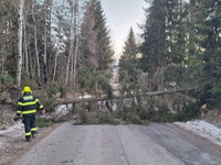 AKTUÁLNE: Silný vietor vyvracia stromy. Mnohí Slováci sú bez elektriny