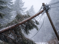 Po víchrici, ktorá sa v nedeľu prehnala časťou Slovenska, sú stále stovky domácností bez elektriny