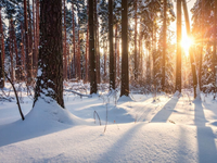 Počasie, aké sme tu už dlho nemali. Zmena začne v nedeľu