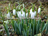 Predpoveď počasia na sobotu, 7. februára: Teplé a sychravé počasie bude pokračovať