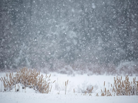 Teplé počasie na Slovensku vrcholí, zajtra príde zmena