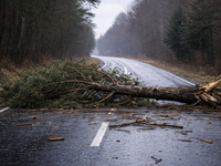 AKTUÁLNE: Silný vietor láme stromy. Po 7. hodine je už v platnosti výstraha 2. stupňa