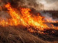 Jar sa rozbieha a spolu s tým aj neduh mnohých Slovákov. Poučíme sa niekedy?