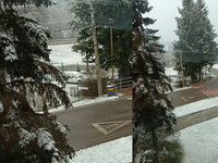 Sever Slovenska pokryl snehový poprašok: Kde dnes ešte očakávame sneženie?