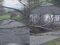 Vietor už silnie, prví Slováci sú bez elektriny a láme stromy. Nárazy vetra budú ešte silnejšie