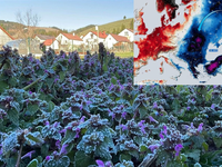 VÝSTRAHA: Pred nami je najkritickejšia noc, ktorá prinesie mrazy aj do úrodných nížin. Teploty poklesnú pod -5 °C