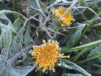 Teploty v noci klesali k -12 °C. Trápenie však už nepotrvá dlho